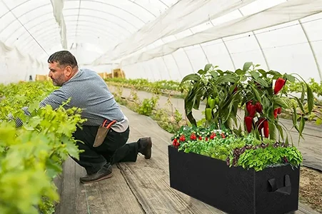 OEM vegetable grow bag manufacturer