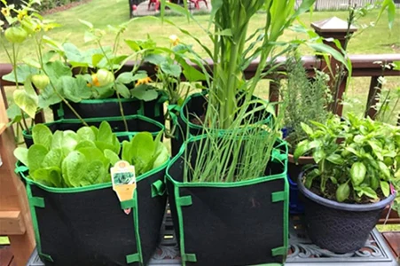 reusable square fabric grow bags