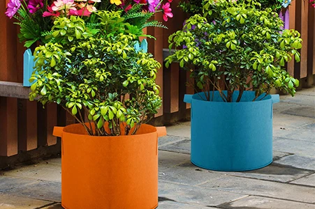 grow bags for indoor plant