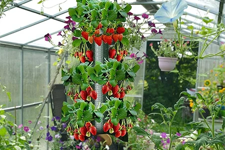 vertical hanging grow bags