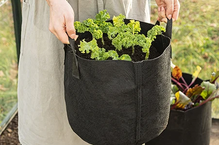 Portable planting bag