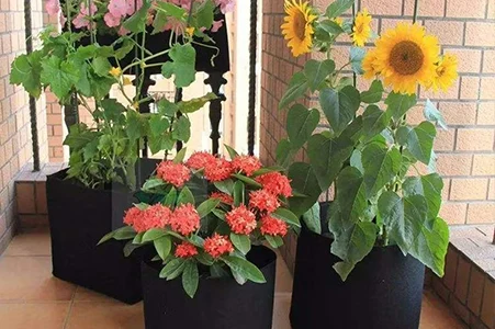Balcony Plant Grow Bags