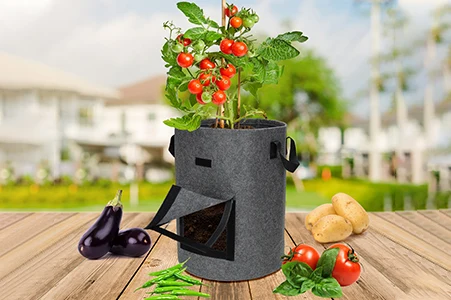 Vegetable grow bag