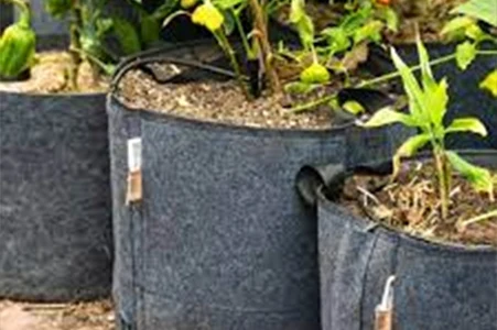 ustom felt grow bag