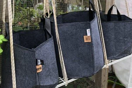 Grow Bags